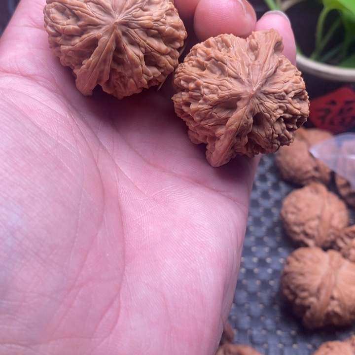 核桃核雕野牛狮子头40尺