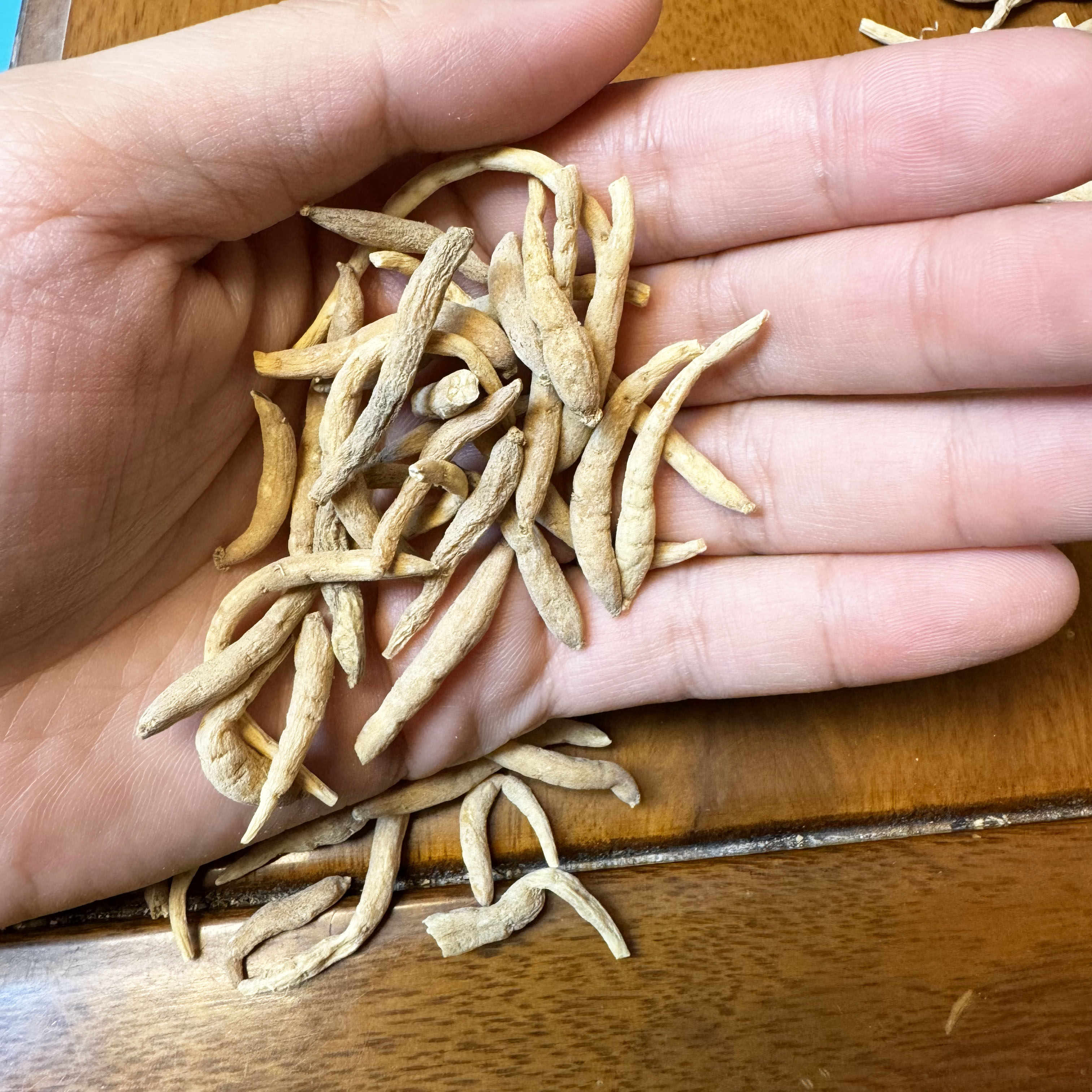 贵州中条太子参中药材正品搭麦冬孩儿参煲汤小孩成长汤500g