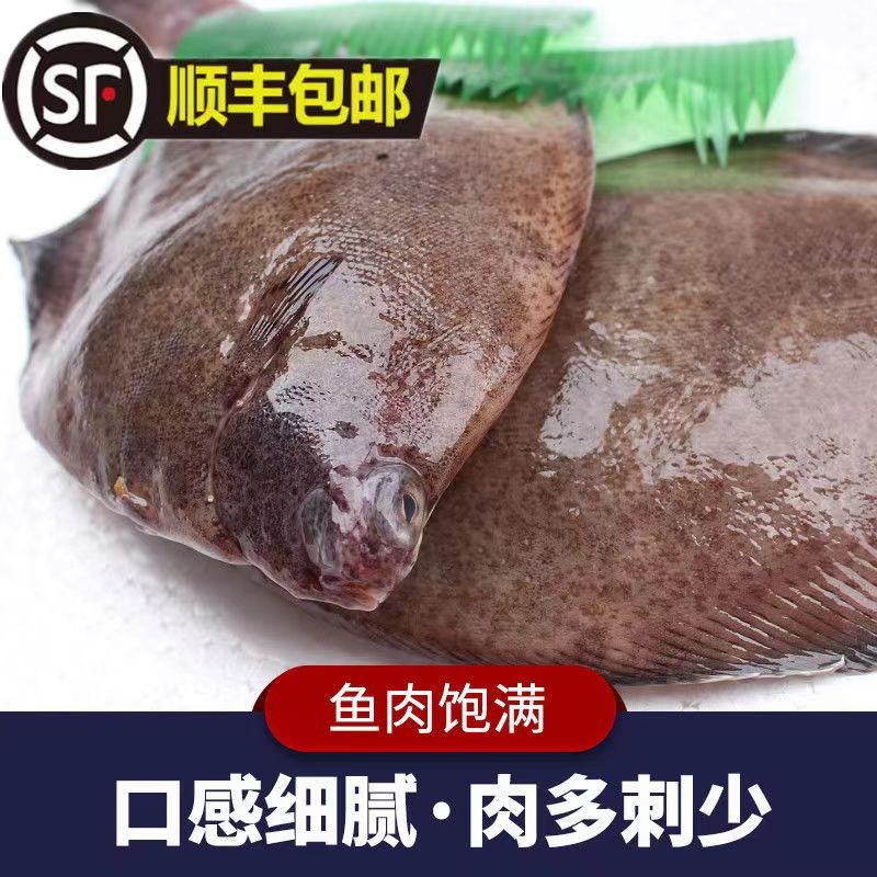 青岛本地特中号鼓眼鱼〖一斤11条〗  肉质鲜美 顺丰冷链发货