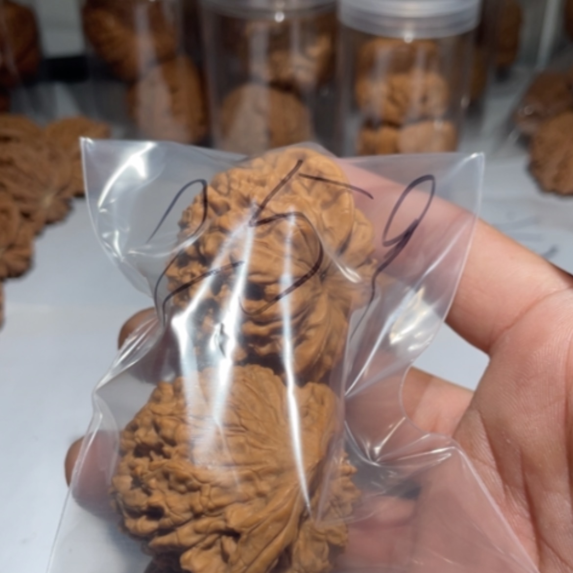 【闪购商品】文玩核桃吊坠洪*