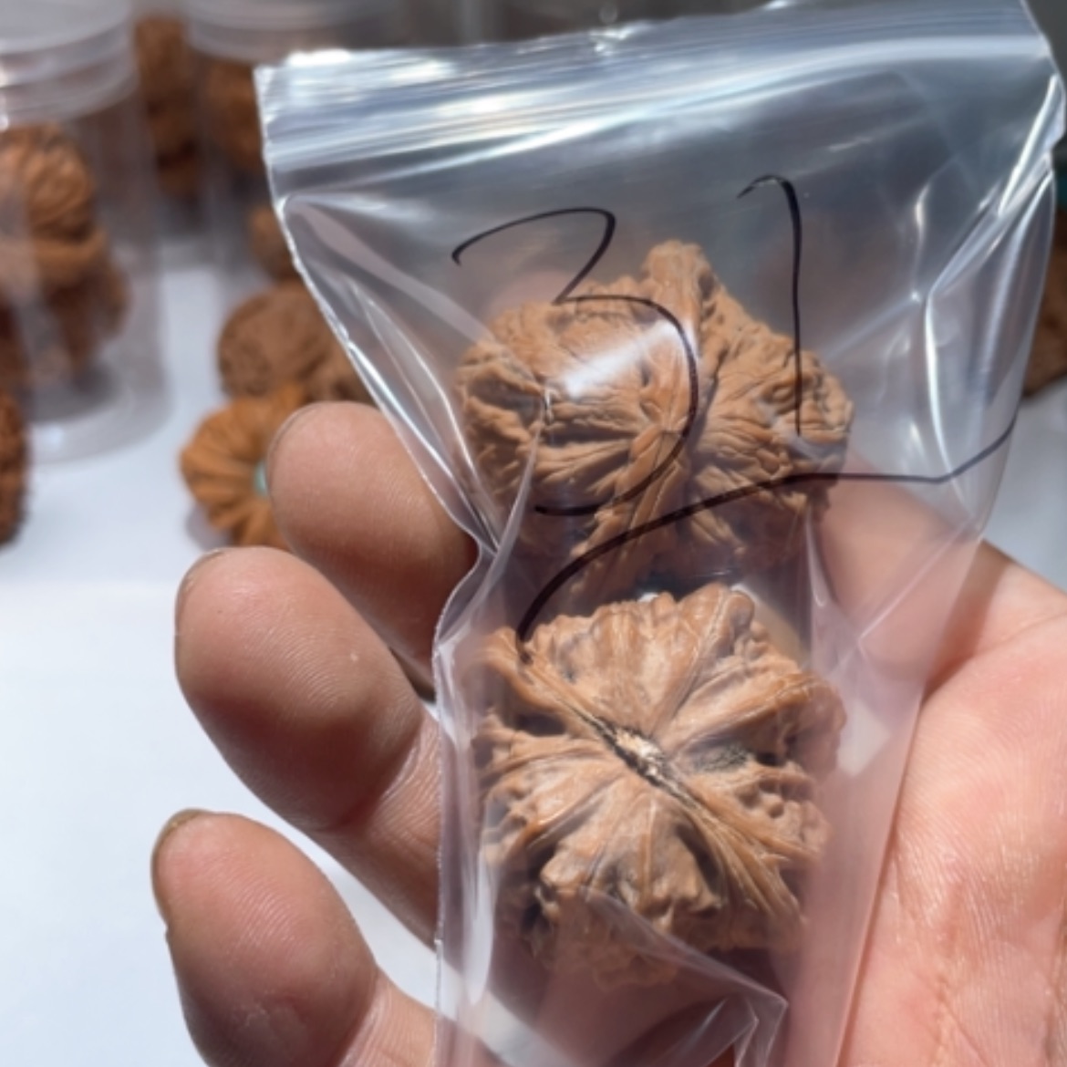 【闪购商品】文玩核桃吊坠@****%