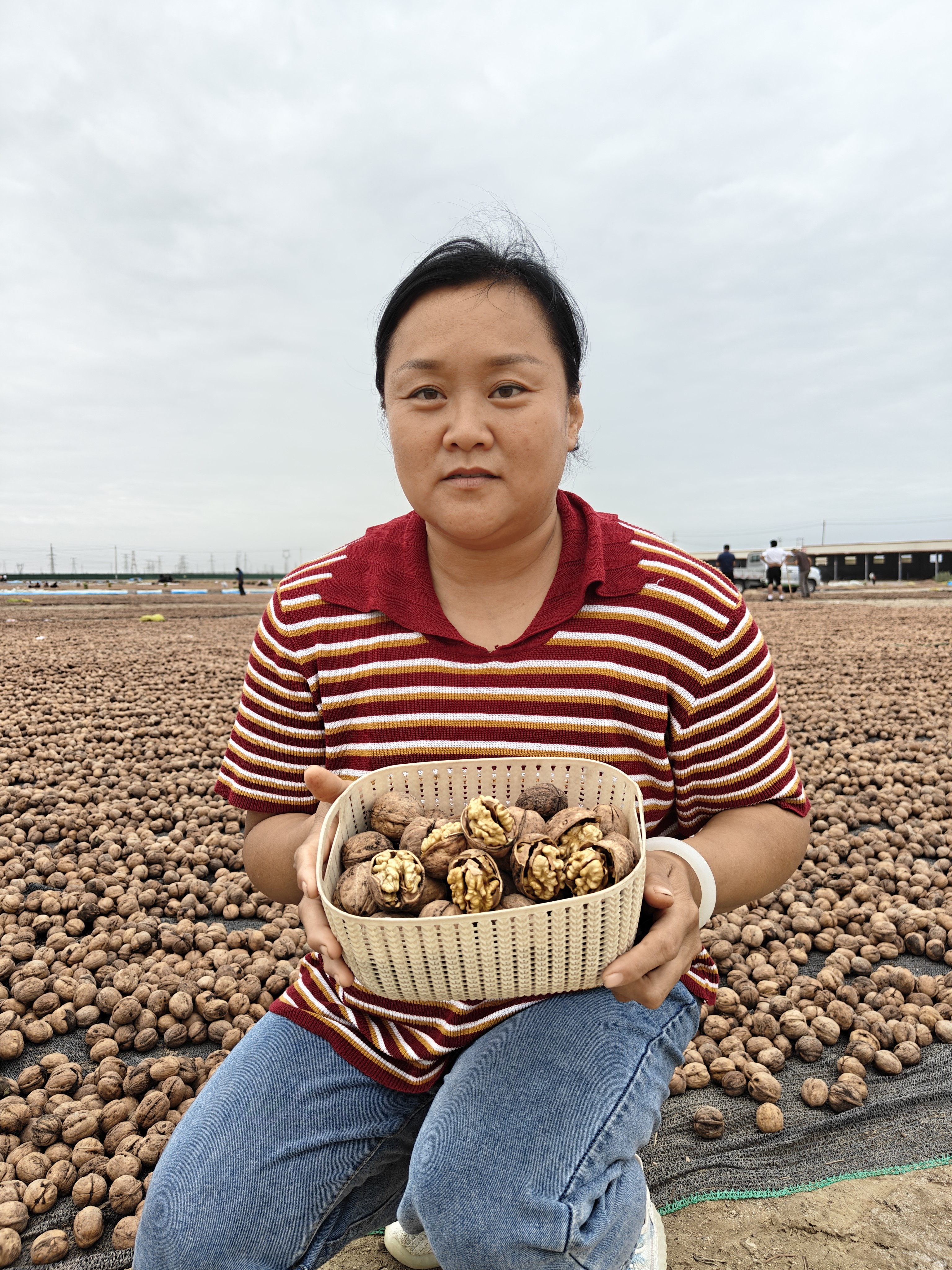 新疆185纸皮核桃，不漂白 丑核桃皮薄原产地直发包邮