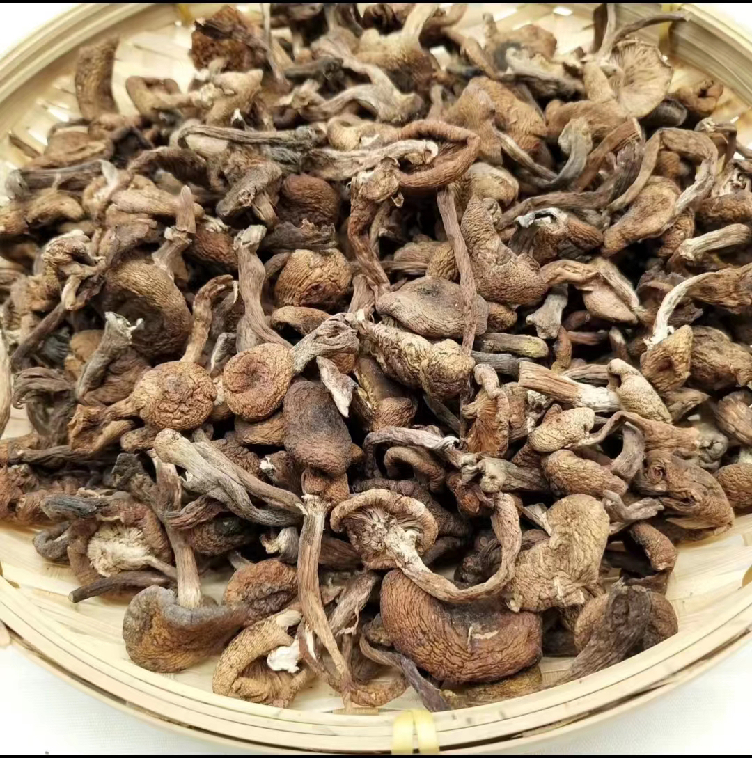 东北特产野生榛蘑250克起（干品）.