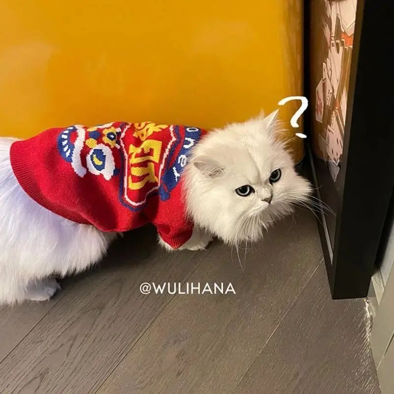 宠物通用猫咪泰迪法斗衣服加绒两腿龙年印花卫衣春秋冬款衣服用品