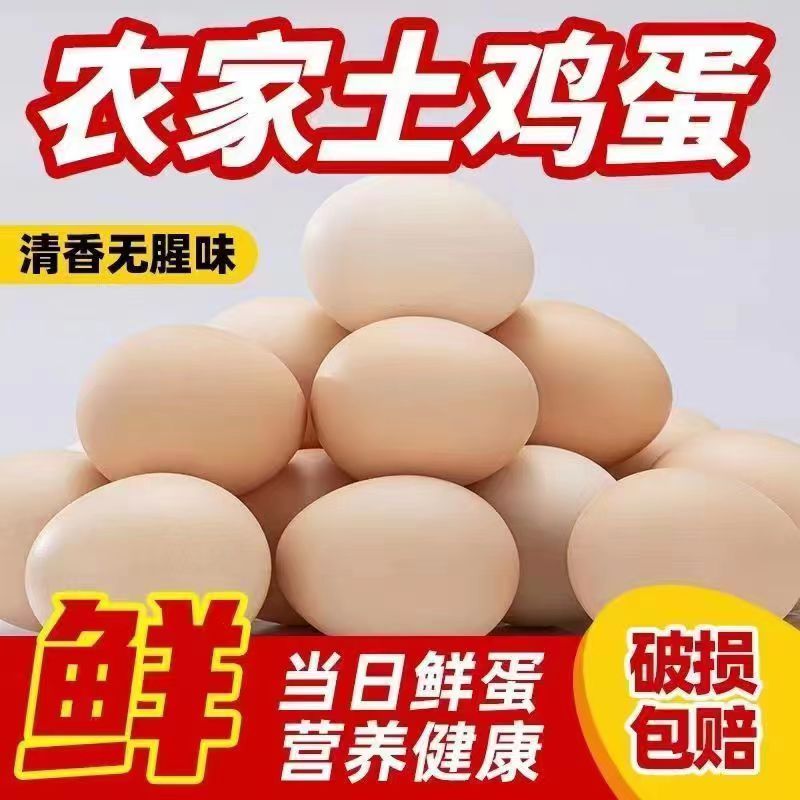 晨诚j散养土鸡蛋农家正宗土鸡蛋柴鸡蛋谷物蛋笨鸡蛋月子蛋