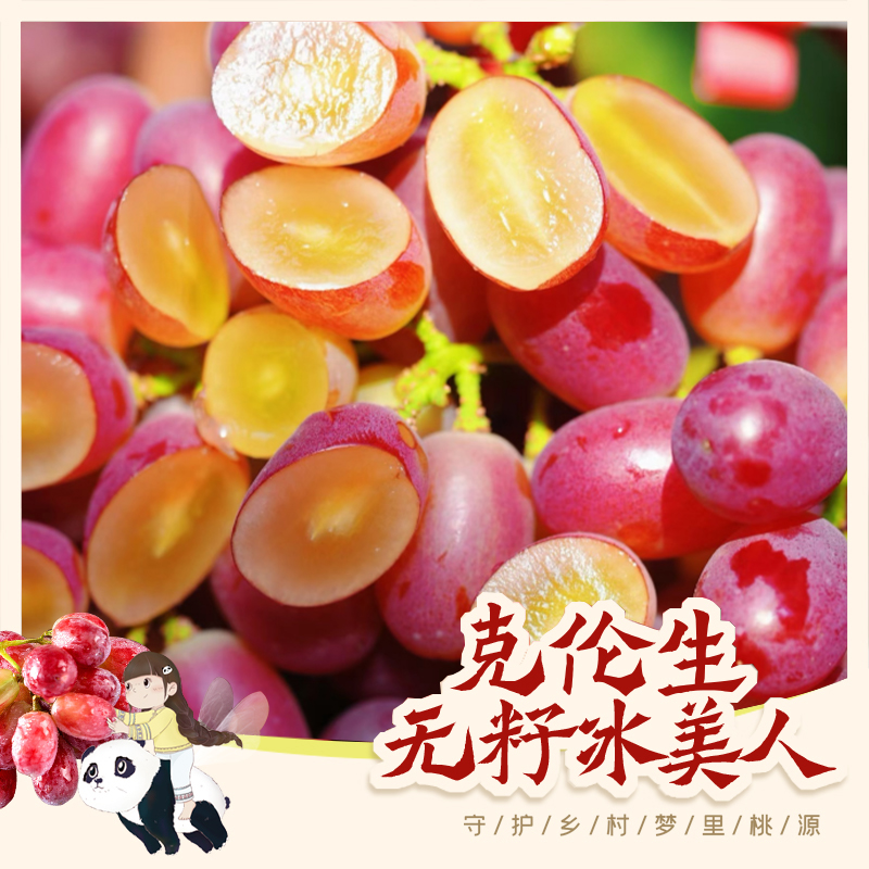 【京东/顺丰包邮】克伦生冰美人口口脆小糖豆纯甜无籽葡萄