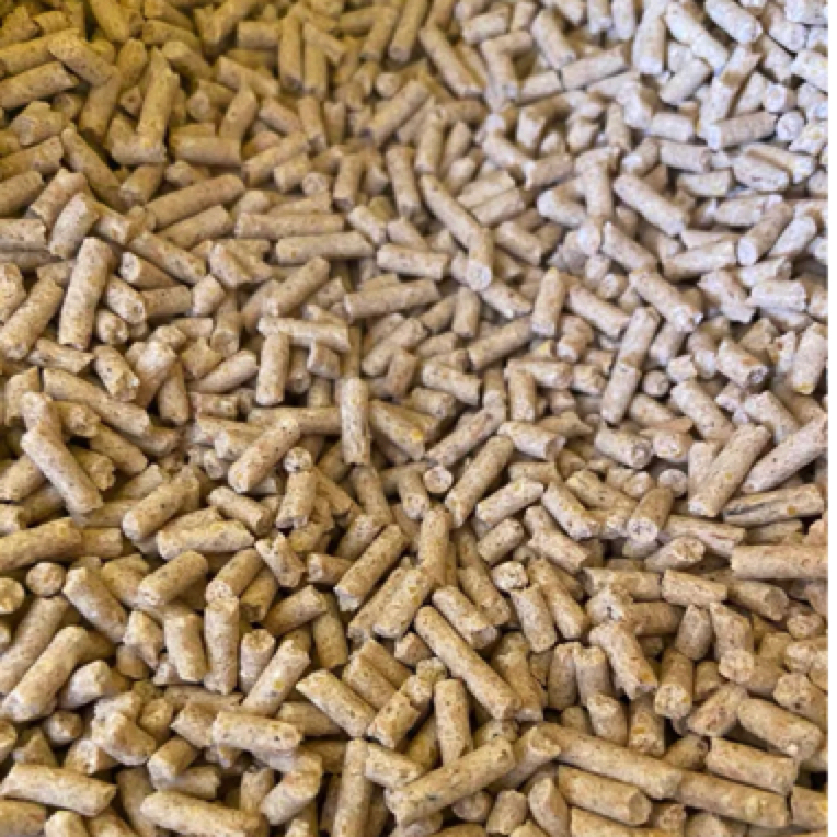 仓鼠金丝熊花枝鼠营养合成颗粒主粮