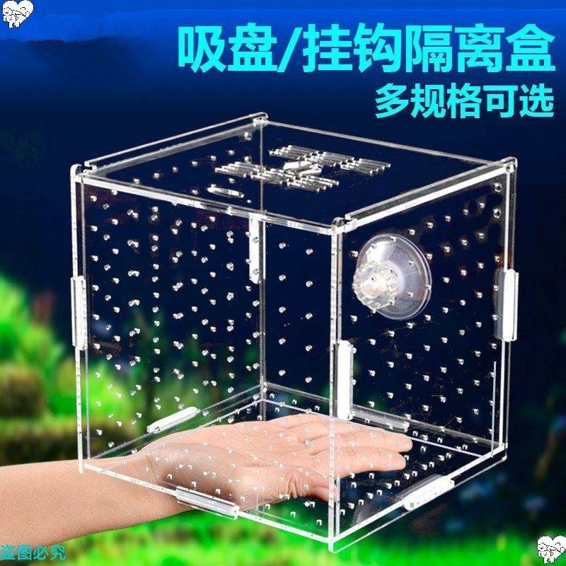 鱼缸保护小鱼隔离盒隔断网幼大鱼隔离板大小号孵化箱繁殖箱迷你悬
