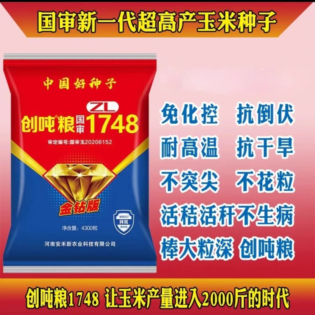玉米种买5送1袋