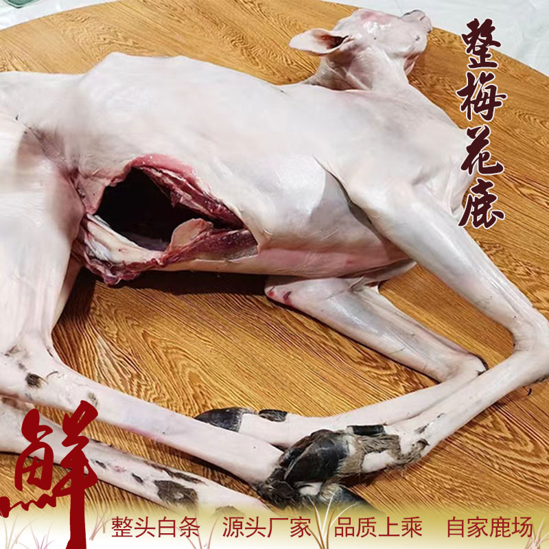 【鹿小萌】新鲜鹿的白条 顺丰包邮 