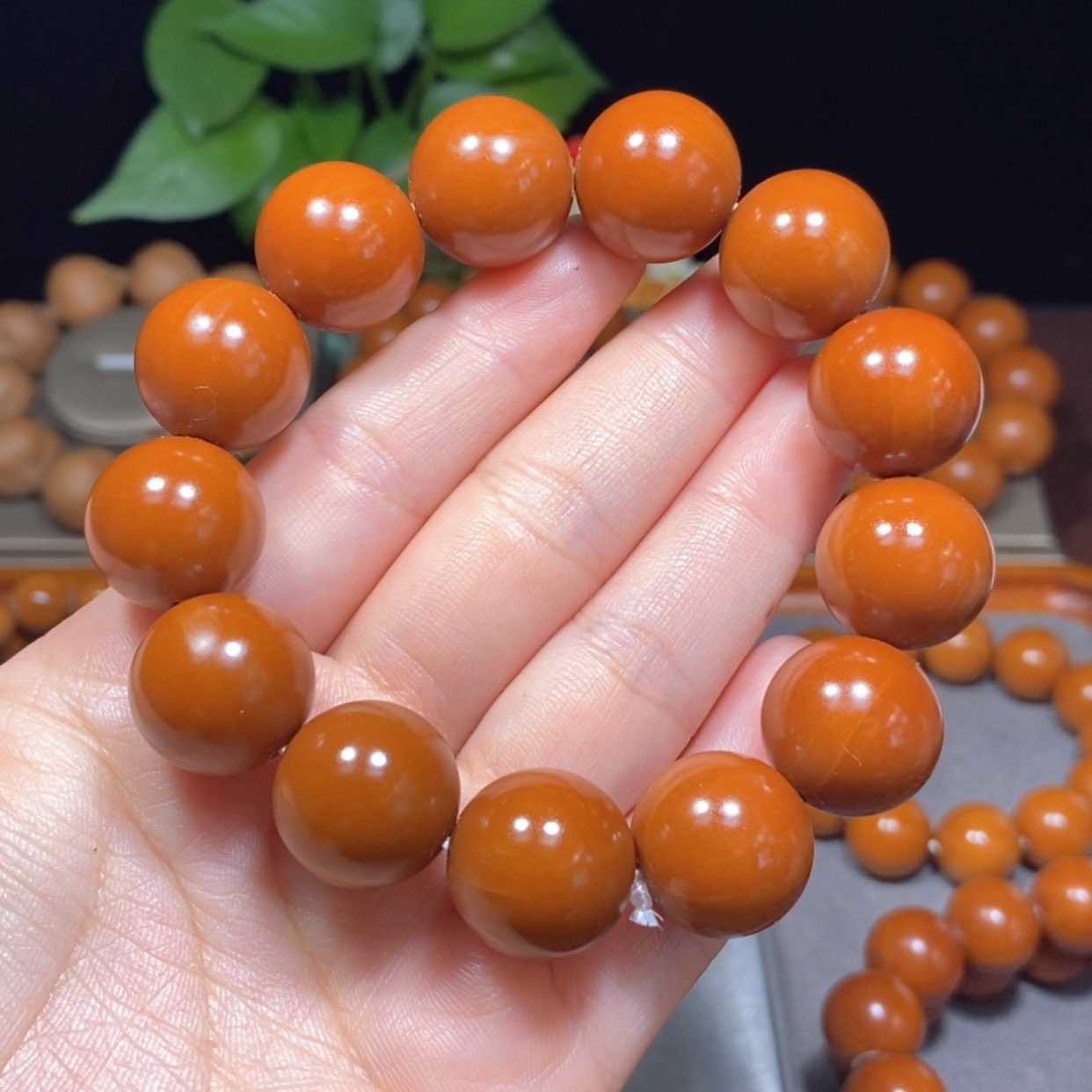 【闪购商品】橄榄核吊坠1.78+广西树王精品