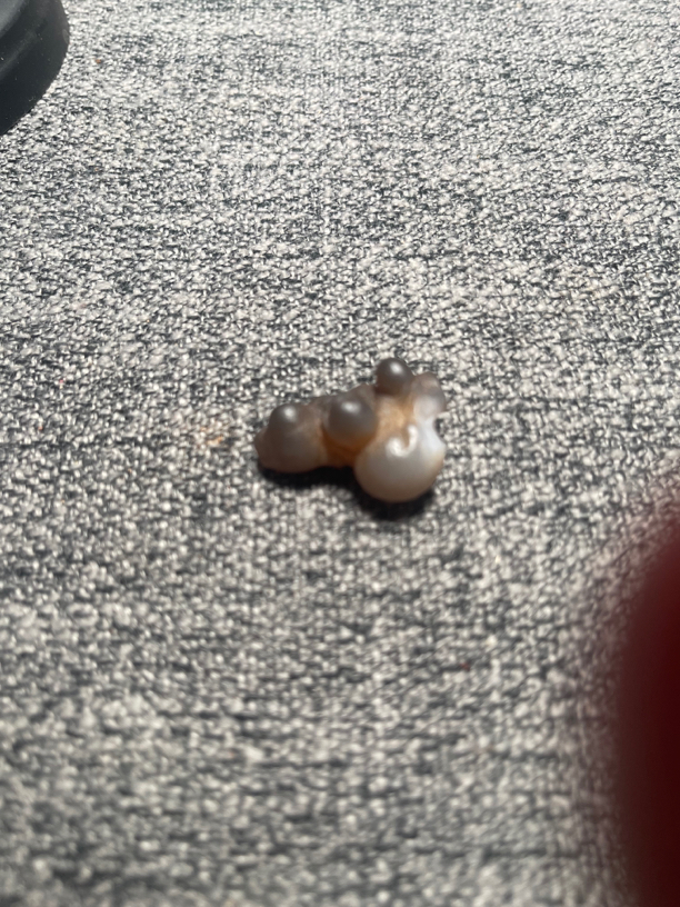 阿拉善原石戈壁奇石 戈壁五彩石 戈壁奇石摆件