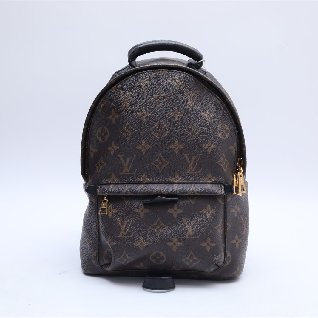 99新 LouisVuitton/路易威登 小花璐璐 P224412813 双肩包 小号