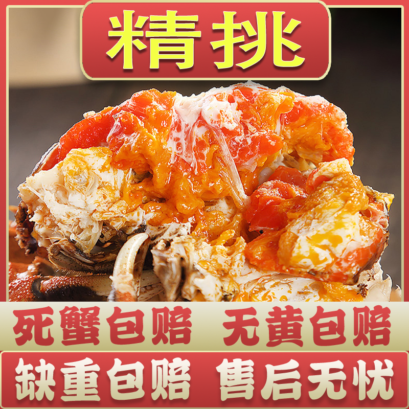 【江苏大闸蟹】2.6-2.3两全母蟹10只活蟹现发京东包邮