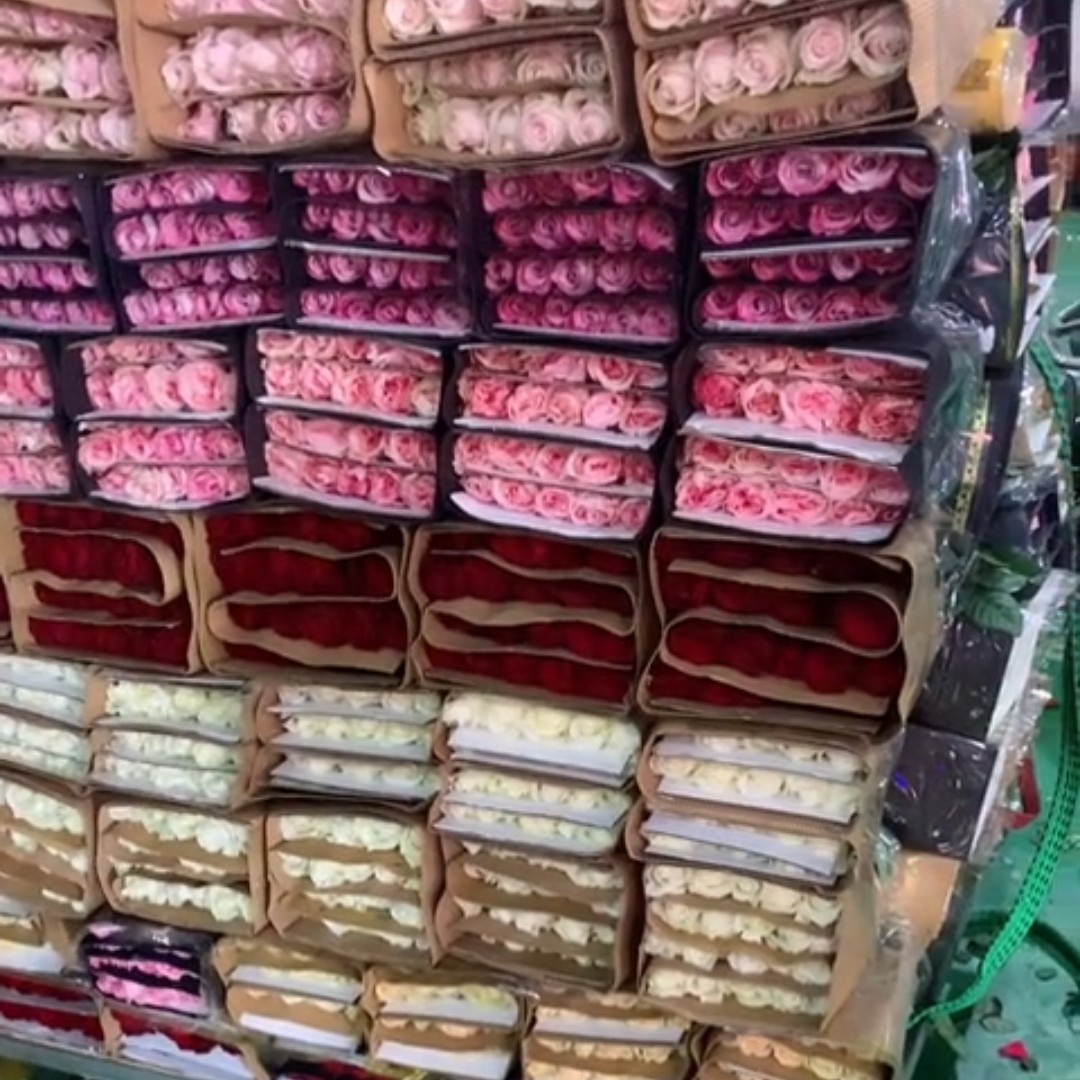 玫瑰2扎40支100米