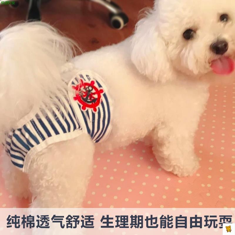 狗狗例假生理裤宠物纯棉柯基秋田法斗泰迪月经裤母狗防怀孕姨妈裤