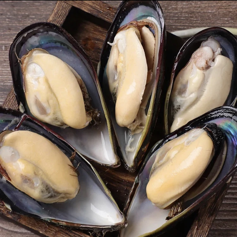 [大号]新鲜贻贝 鲜活发货 国产大个青口贝 3/5/10斤干净肉质