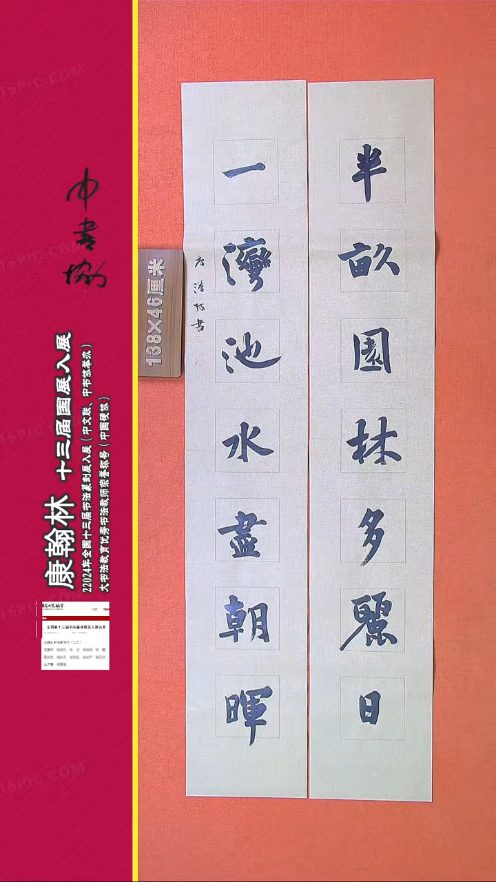 【闪购商品】书法389康汉林书法作品