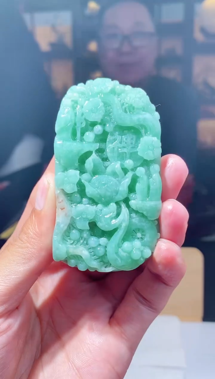 【闪购商品】定制翡翠未镶嵌FZ003709多样性发其一