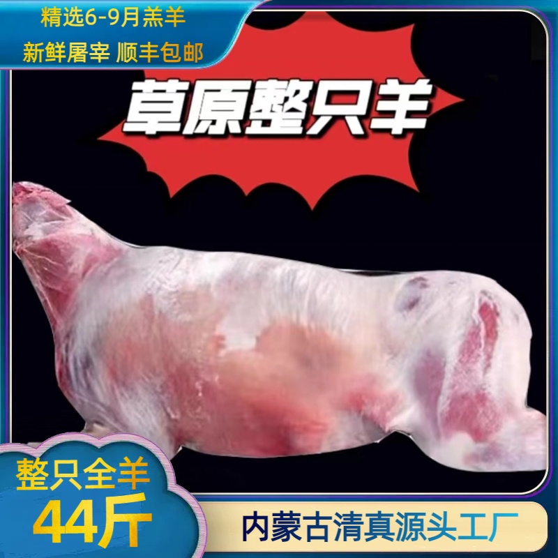 内蒙古羔羊整只羊全羊下单后找羊多退少补