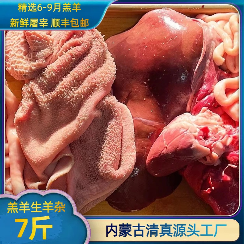 内蒙古羔羊羊杂 生的 心肝肺肚肠共7斤