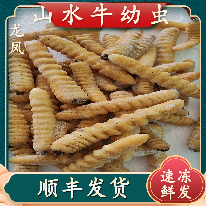山水牛幼虫山东可食用速冻山水牛幼虫食用特产山水牛幼虫顺丰发货