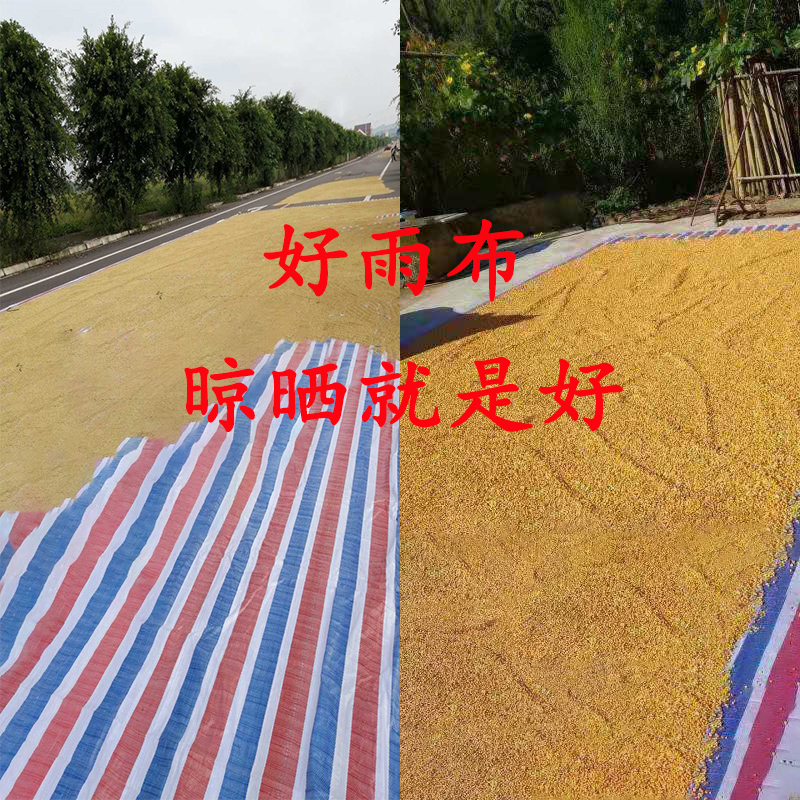 彩条布防雨布防水布新料三色遮阳布装修防尘布包装防护篷布塑料布