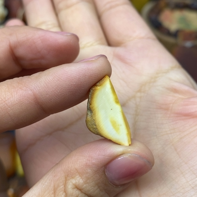 【闪购商品】定制琥珀未镶嵌小*巴