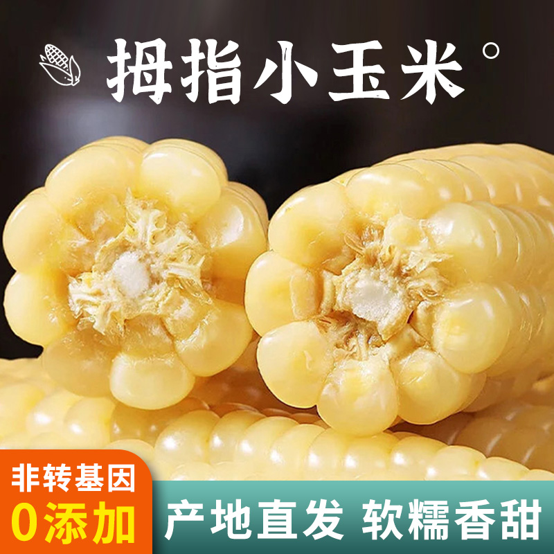 【上新价】正宗拇指玉米迷你小玉米新鲜真空软糯宝宝辅食糯玉米好吃