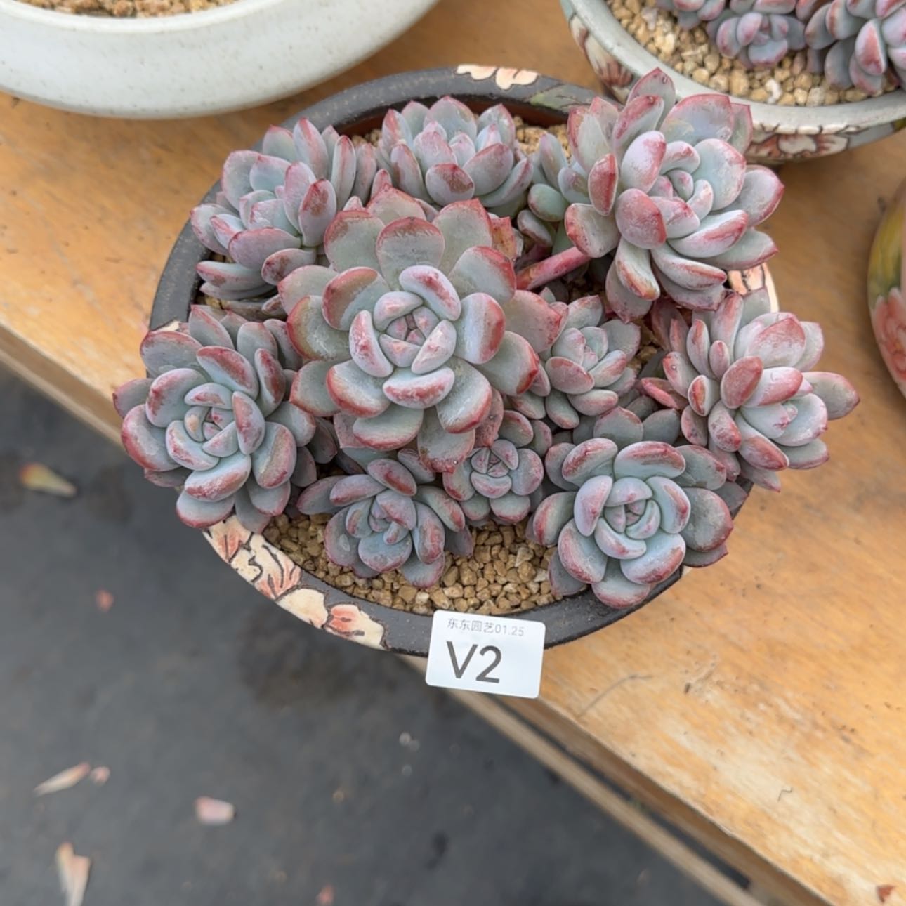 【闪购商品】永****店v 2