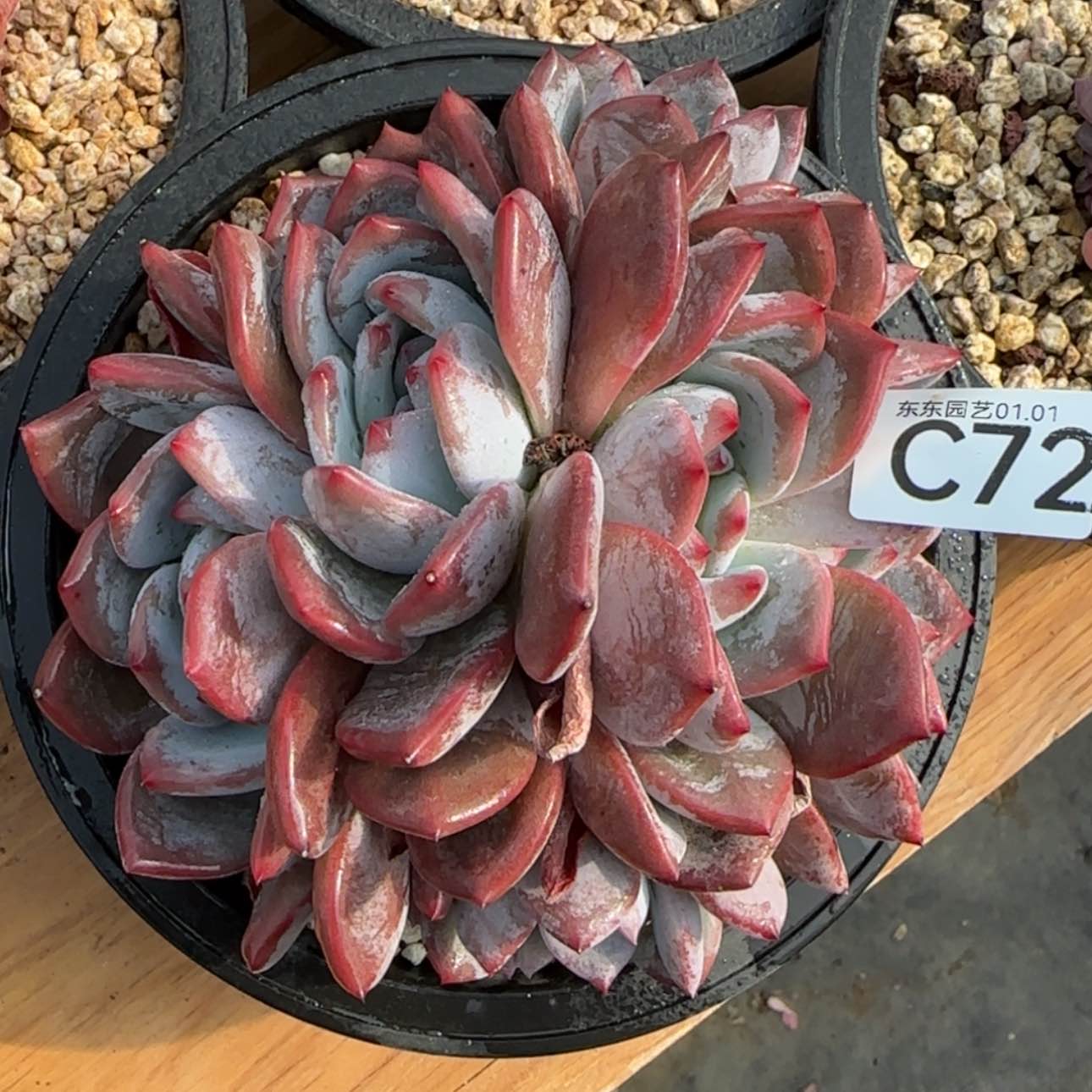 【闪购商品】用****4C72