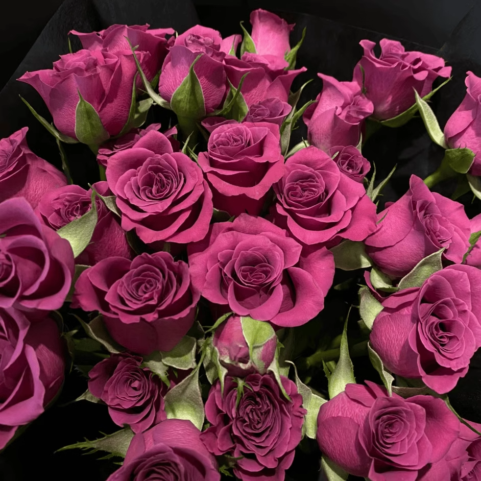 【玖宸花源】蓝莓多头玫瑰  莓紫色花瓣 家庭瓶插花