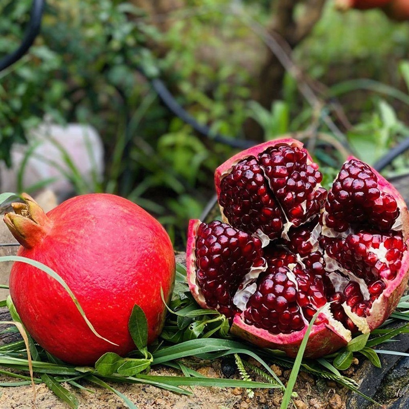 新疆喀什石榴丑甜和田皮亚曼石榴硬籽水果多汁产地直发水果礼盒