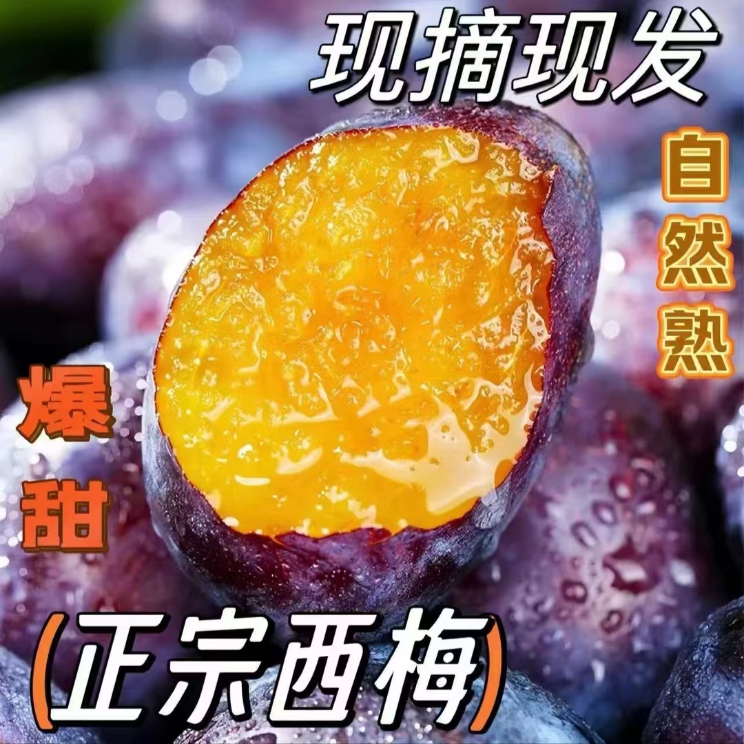【树上熟果】正宗新疆西梅新鲜带箱3斤西梅新鲜水果爆甜大果发顺1斤