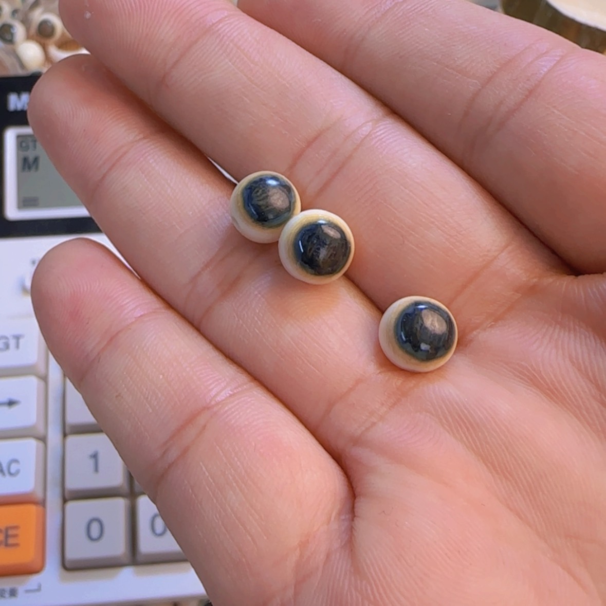 【闪购商品】红贵宝冬*