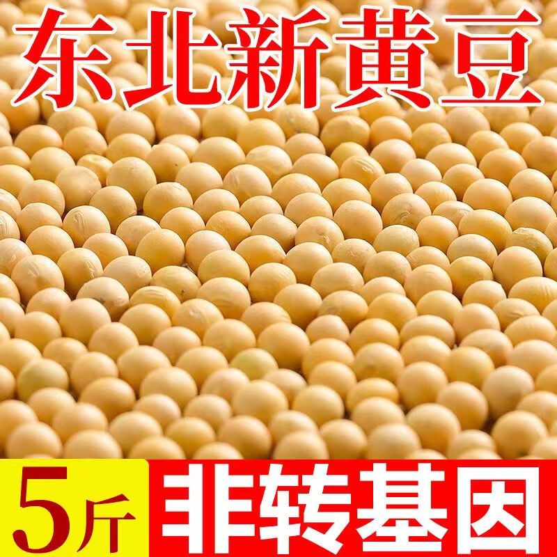 【19.9//5斤】东北新黄豆非转基因大豆打豆浆新鲜发豆芽杂粮批发