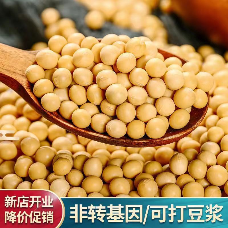 【5斤大降价】东北新黄豆打豆浆用非转基因黄豆批发杂粮50g