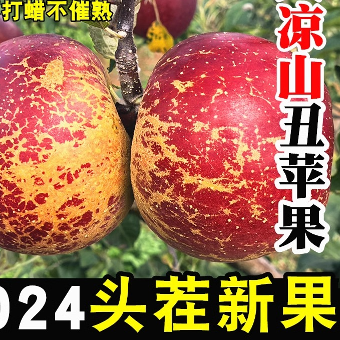 四川大凉山丑苹果糖心苹果