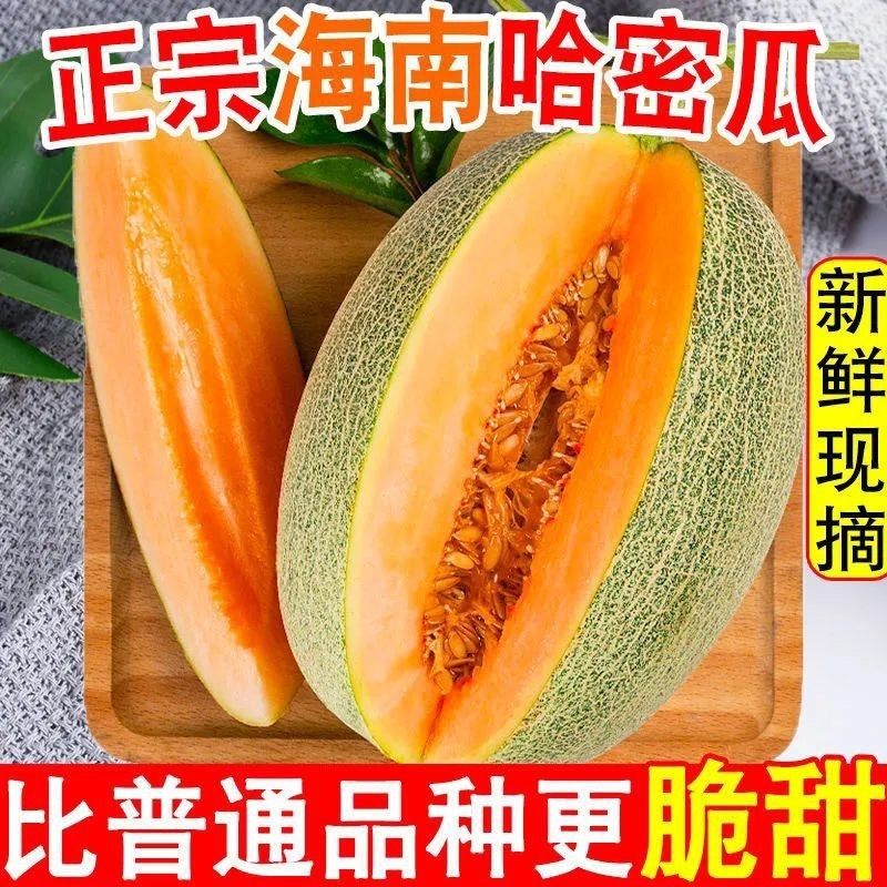 【爆甜】海南哈密瓜小蜜25号甜瓜新疆蜜瓜网纹瓜应当季新鲜水果孕妇