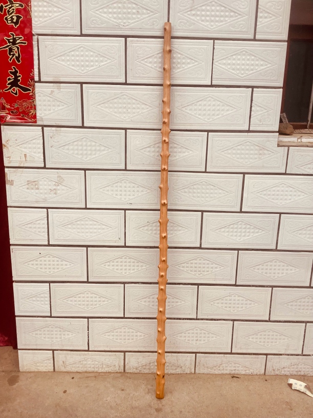 云南对节木，长1.3 米粗2.7/2.3 厘米一物一图