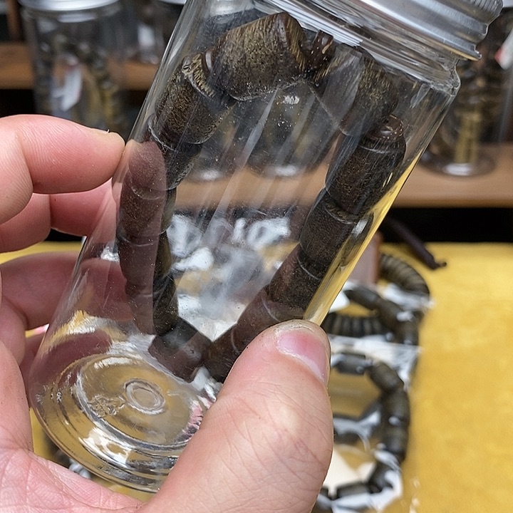 乌木类手串/手链海南虫漏74