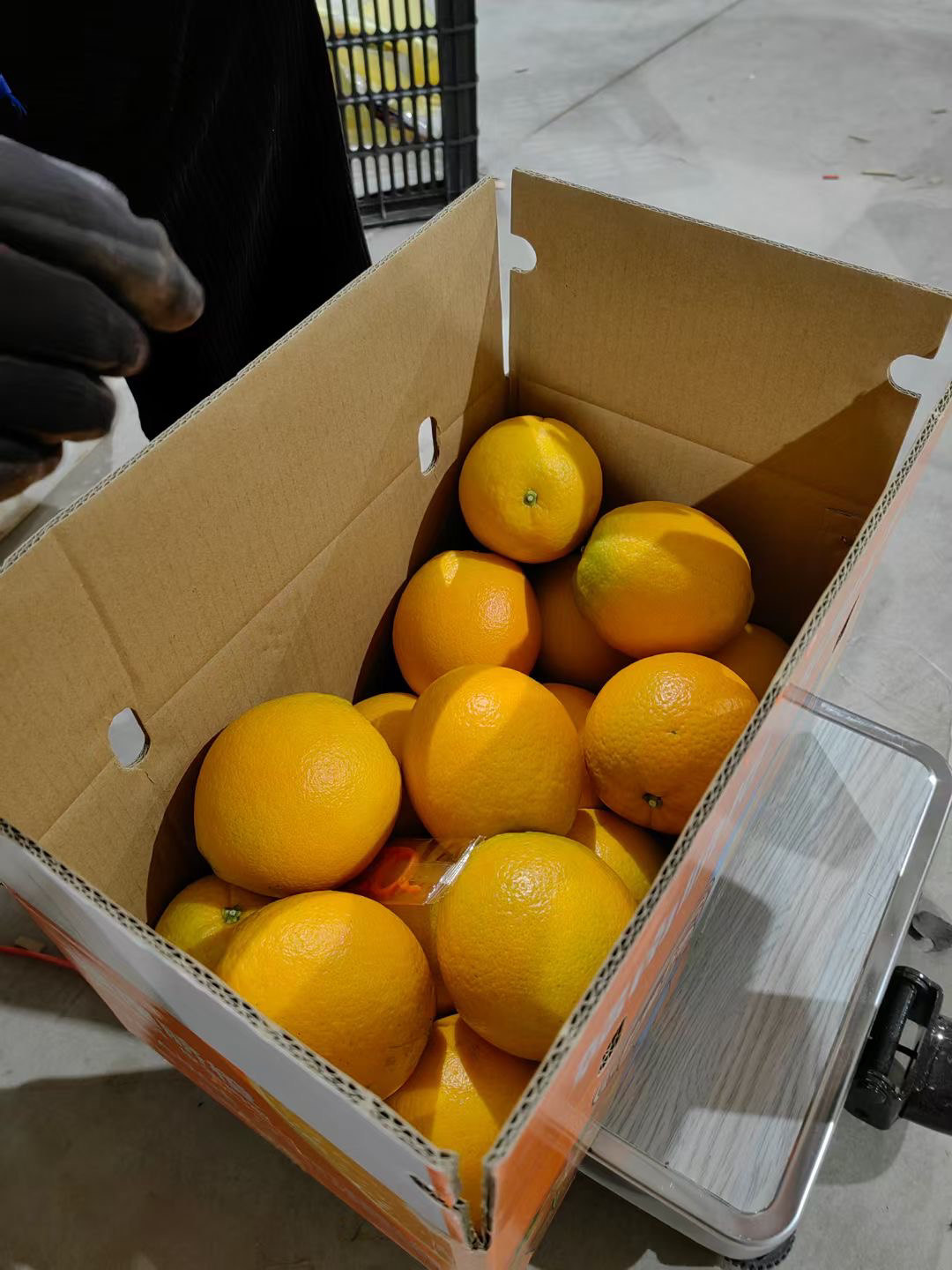 赣南脐橙精品果10斤