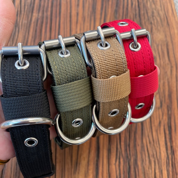 中小型犬尼龙脖圈幼犬栓狗遛狗2.5宽项圈杜宾猎梗杰克罗素脖套