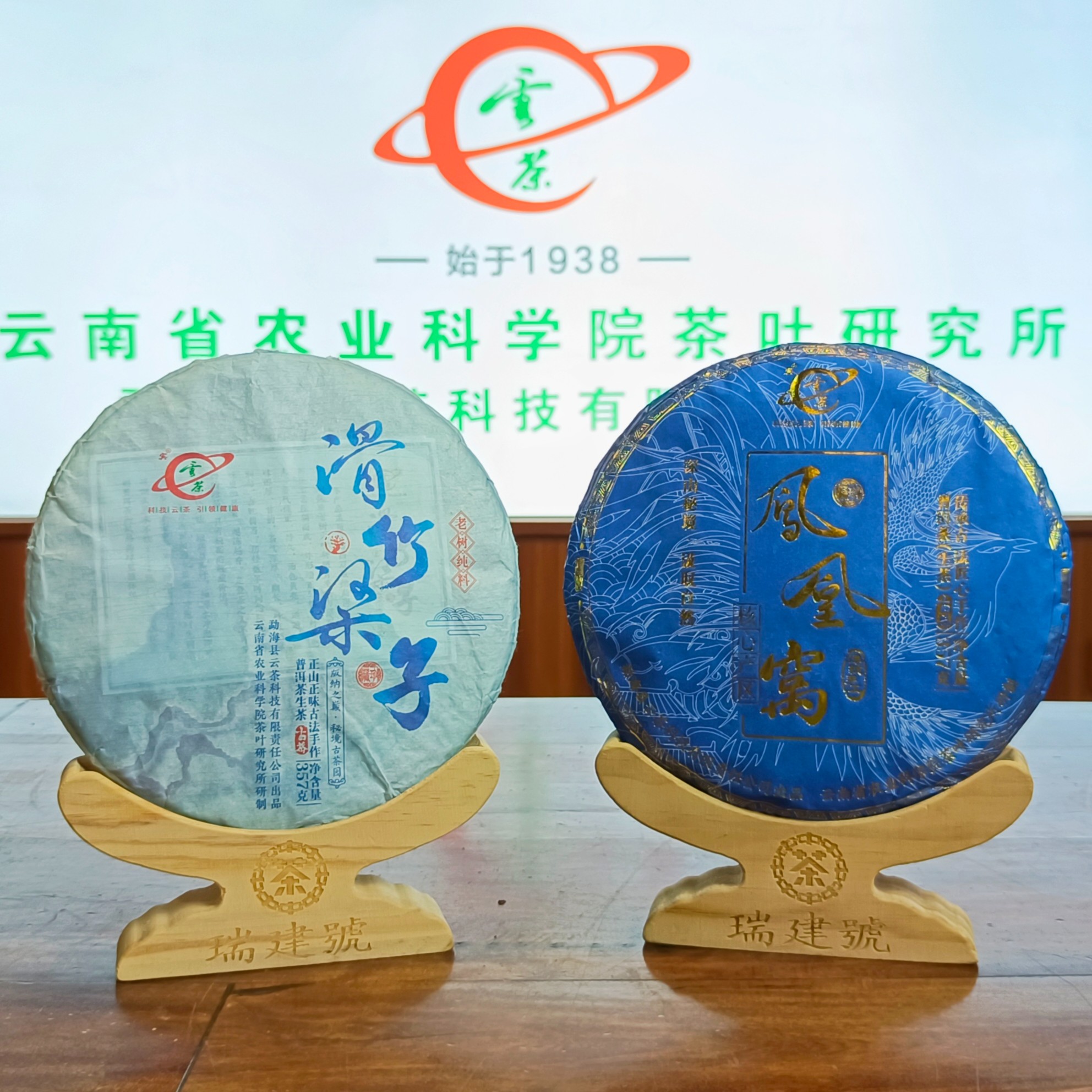 M-[云茶] 一套（凤凰窝+滑竹梁子）  普洱茶（生茶）357g/饼