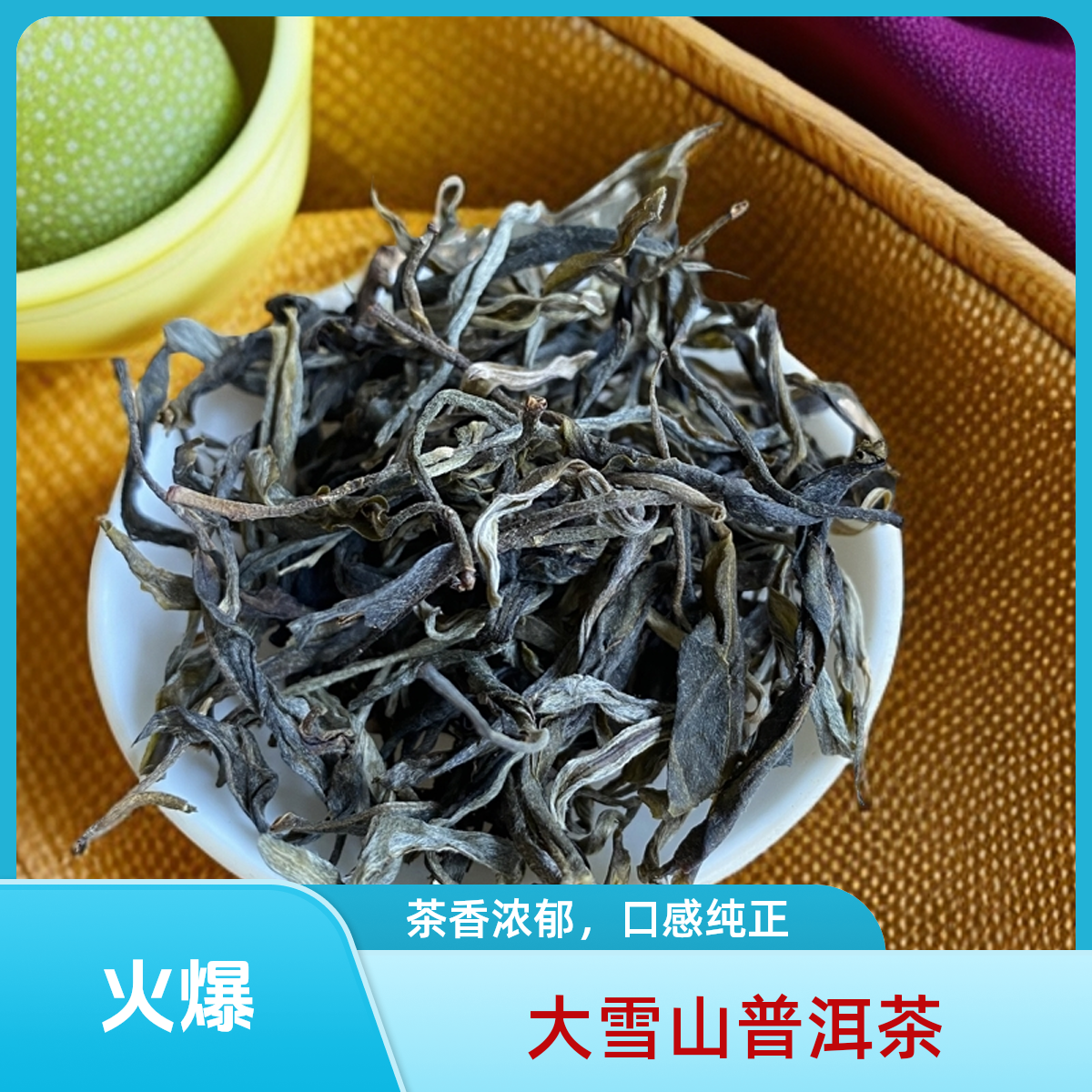 云南临沧高山头春茶叶大雪山网红口粮茶普洱茶