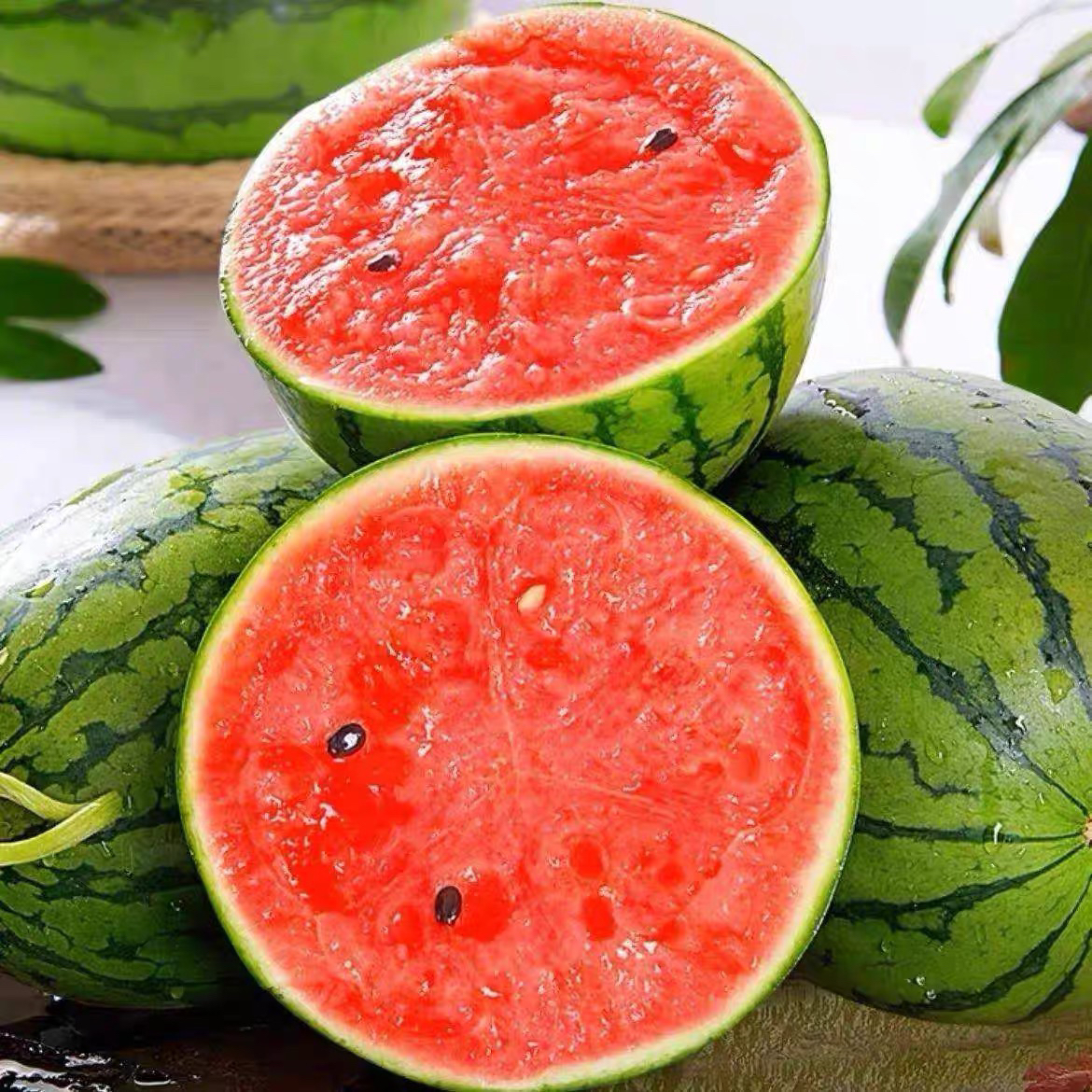 【小糖丸西瓜】吊藤小糖丸冰糖西瓜薄皮甜蜜多汁当季时令新鲜红心
