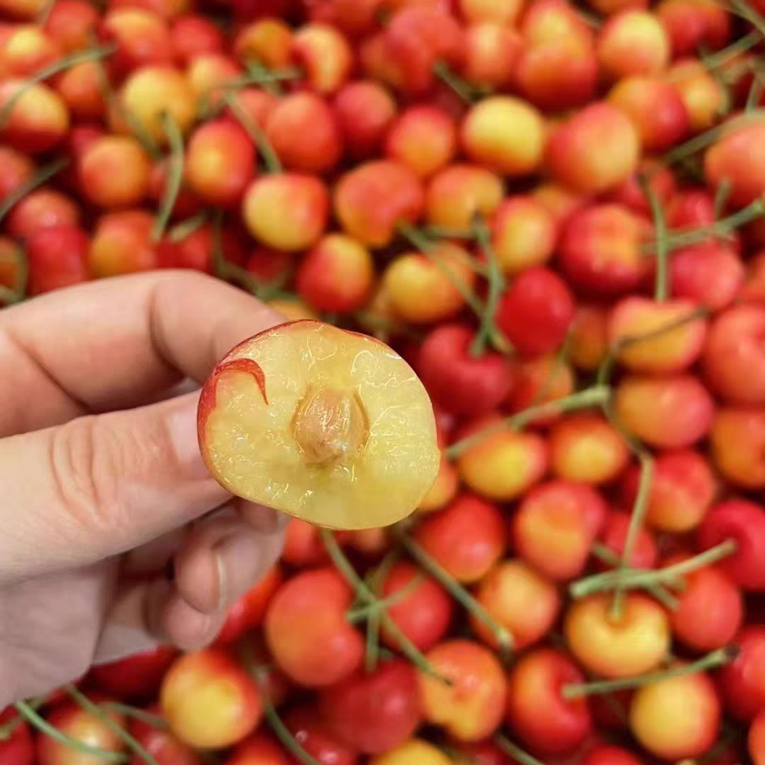 【丫头专属】金车1J/3J空运智利2-4.4斤新鲜水果车厘子内附果径卡