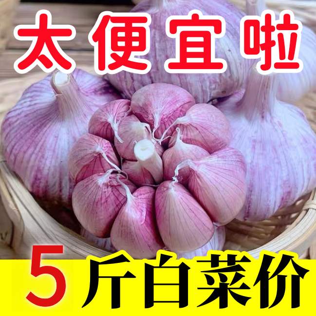 【新店冲量】山东金乡精品紫白皮大蒜可吃种大蒜头农家自种产地直发