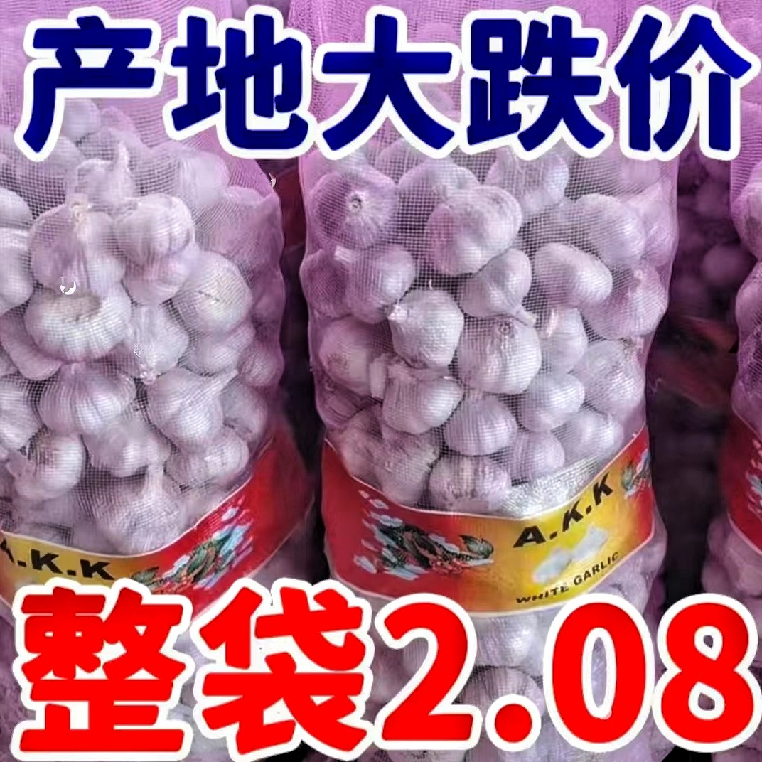 【果仓价】山东金乡紫皮大蒜干蒜饱满3/5斤农家多瓣晾晒蒜批发整箱