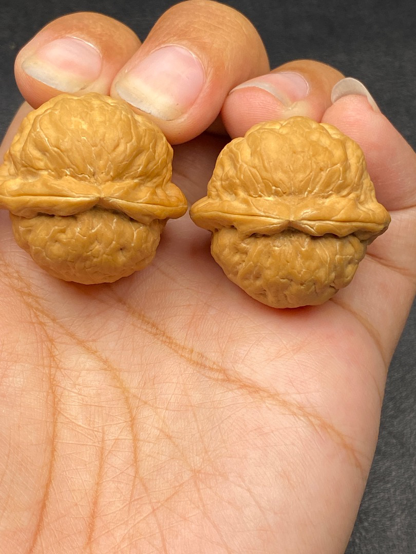 云南铁核桃 文玩核桃手把件 八方来财31尺 图片同款精品一对